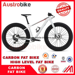 Full Carbon Fatbike Carbon Fat Bike 26" Carbon Fat Tyre