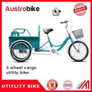 Electric Tricycle for Cargo with Big Basket