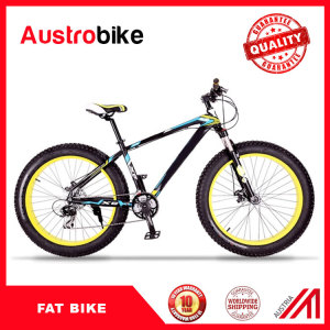 Aluminium Fat Bike Bike with Fat Tyre